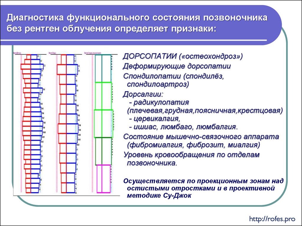 Диагноз состояние. Дифференциальный диагноз пояснично крестцовой радикулопатии. Диагностика функционального состояния позвоночника. Методы диагностики позвоночника. Диагноз дорсопатия поясничного отдела позвоночника.