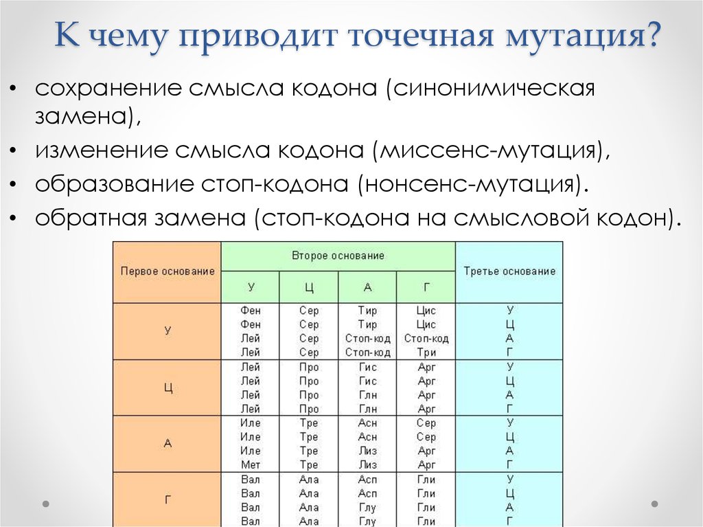 Точечные м. Точковая миссенс мутация. Точечные мутации примеры. Точковая миссенс мутация пример. Точечные мутации, разновидности, причины возникновения, последствия.