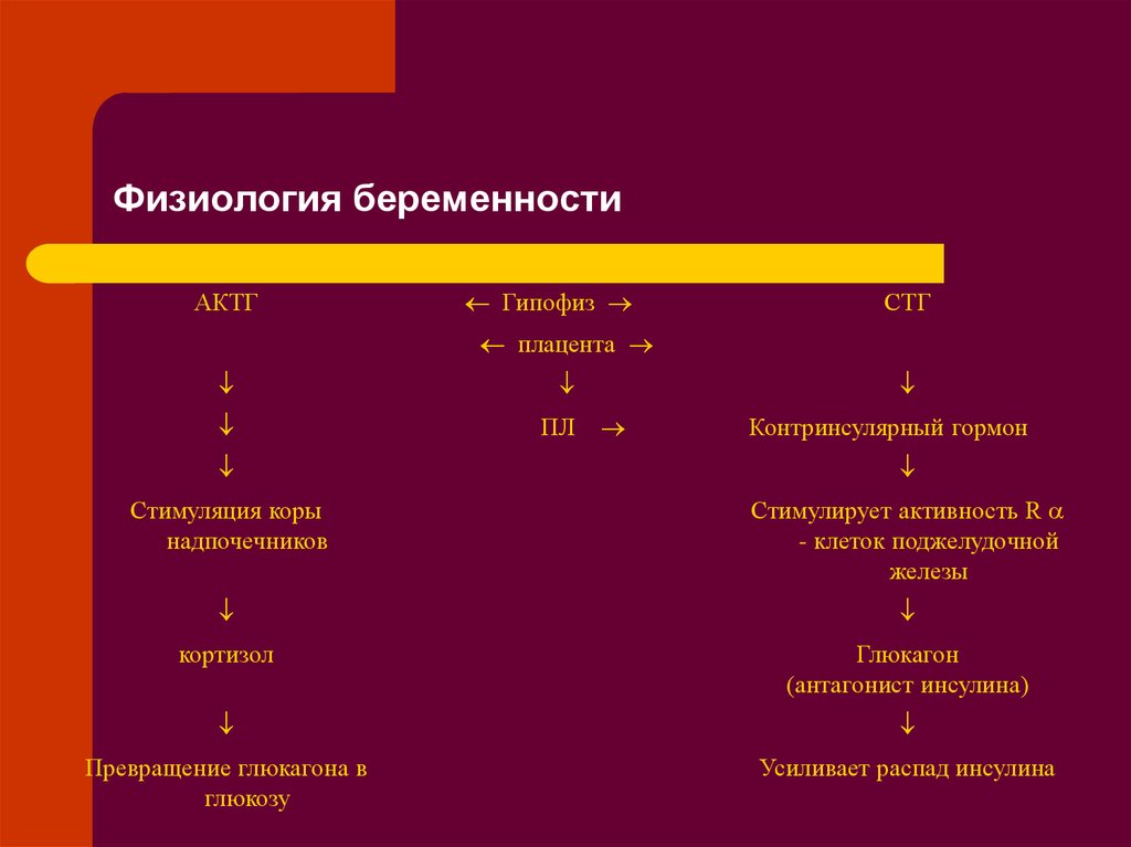 Физиология беременности презентация