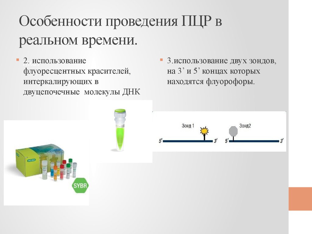 Теория ошибок real time пцр руководство