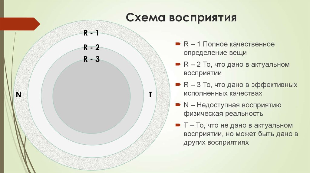 Феномены восприятия схема