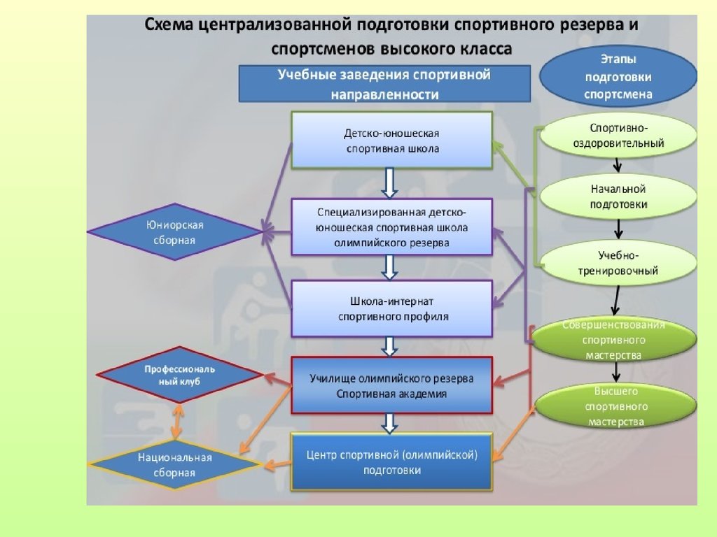 Подготовки лиц проходящих спортивную подготовку. Этапы спортивной подготовки. Система спортивной подготовки схема. Задачи этапов спортивной подготовки. Структура системы спортивной подготовки.