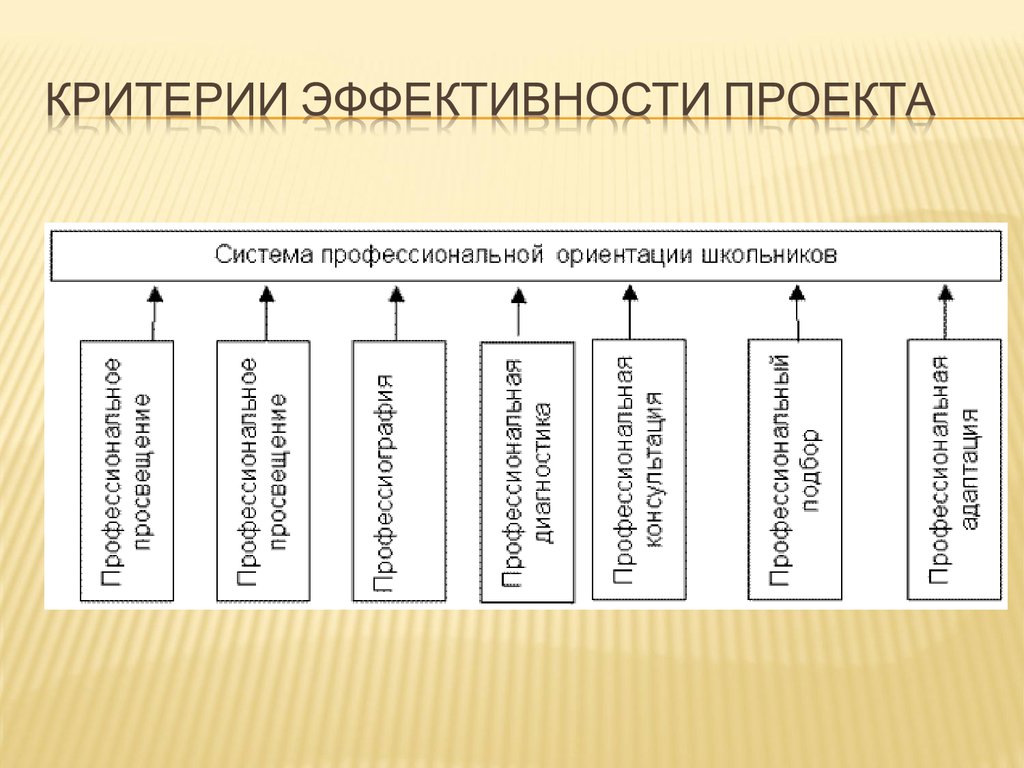 Профессионально ориентированный проект