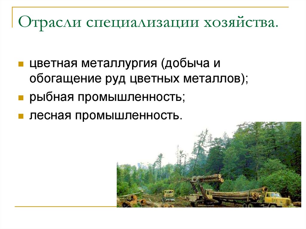 Отрасли специализации хозяйства. Специализация Лесной промышленности. Дальневосточный экономический район цветная металлургия. Отрасли специализации Дальневосточного. Отрасли специализации Дальневосточного района.