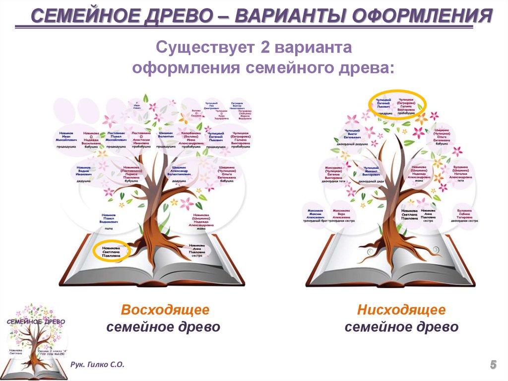 Генеалогическое древо презентация