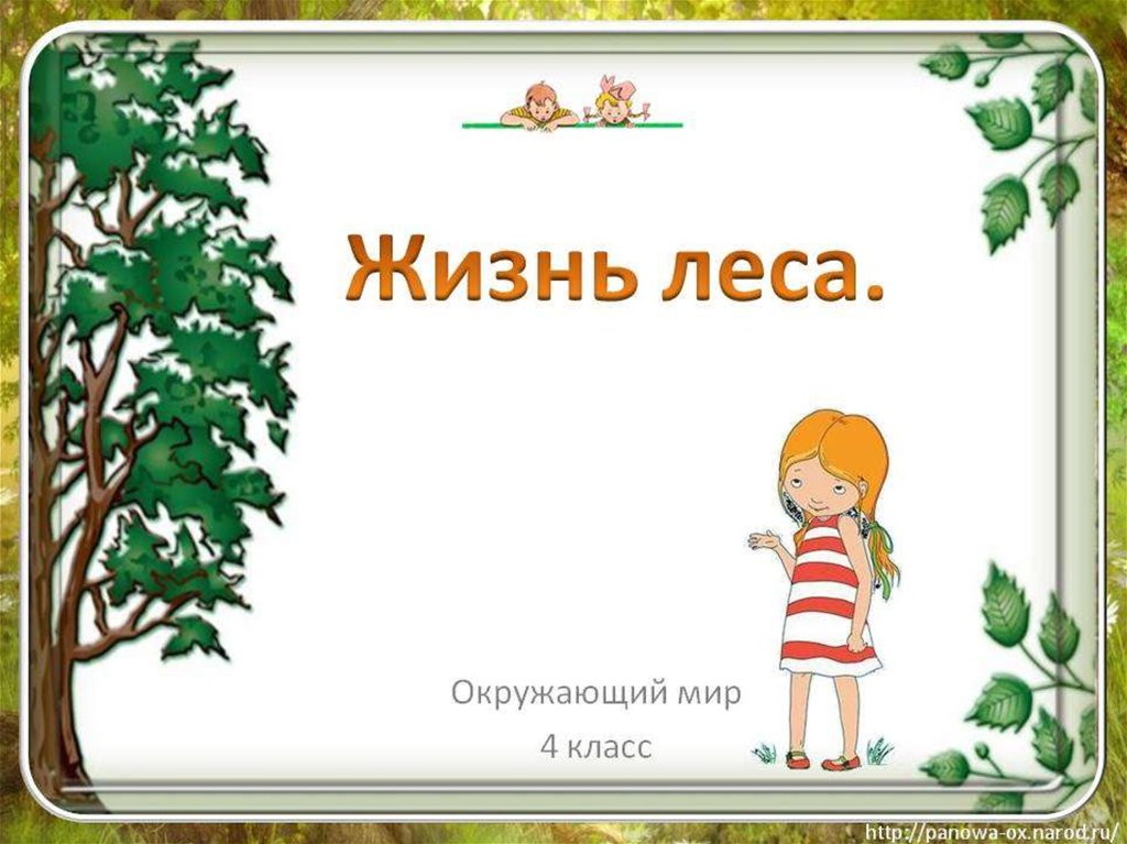 Жизнь леса 4 класс окружающий мир презентация школа россии презентация