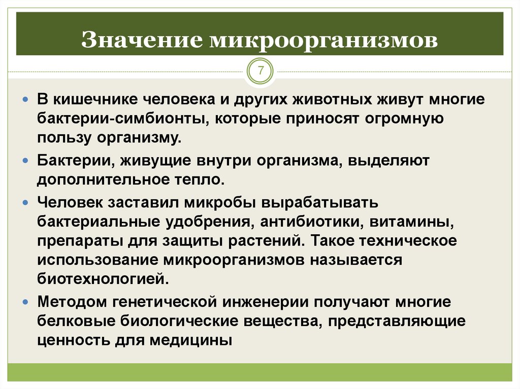 Положительная роль кишечных бактерий. Значение микроорганизмов в кишечнике. Кишечные бактерии значение. Значение бактерий в кишечнике человека. Значение бактерий кишечника.