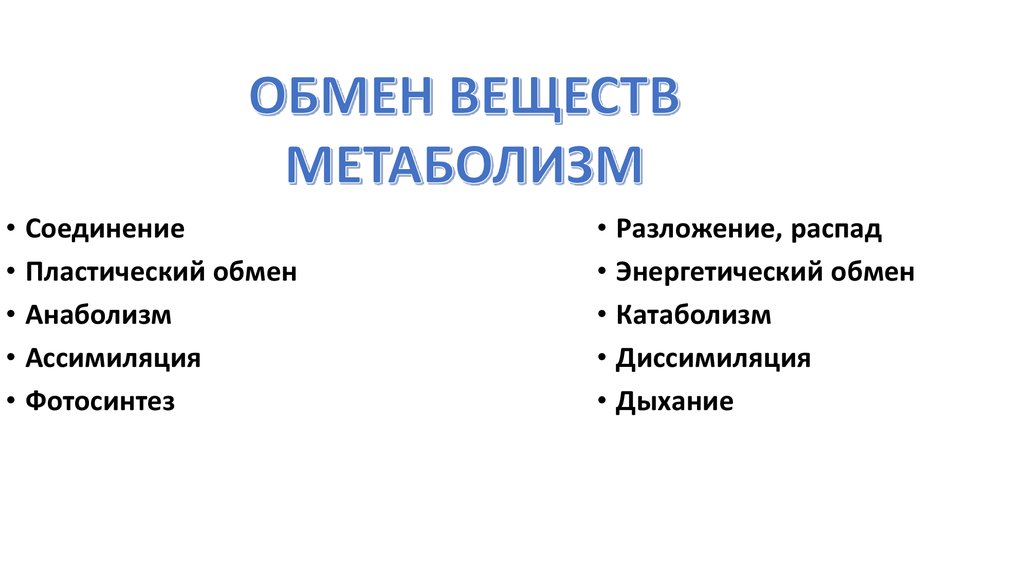 У птиц высокий обмен веществ. Свойство живых систем лошади.