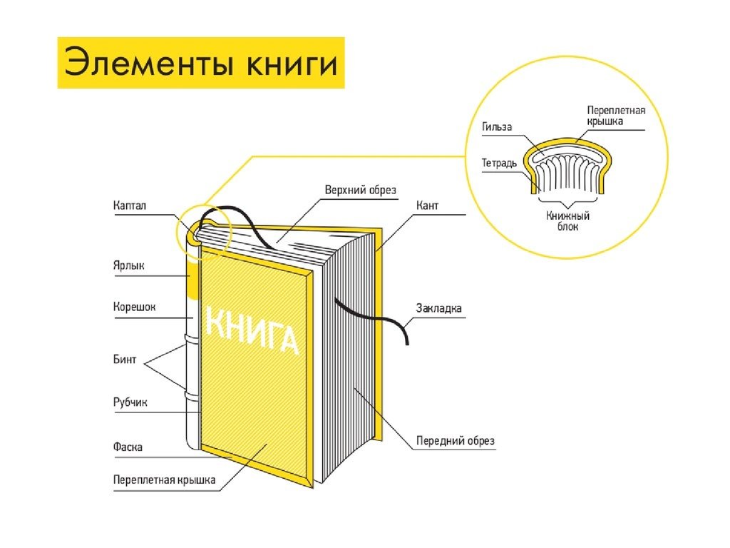 Название составляющих. Структура и элементы книги. Строение книги. Компоненты книги. Строение книги элементы.