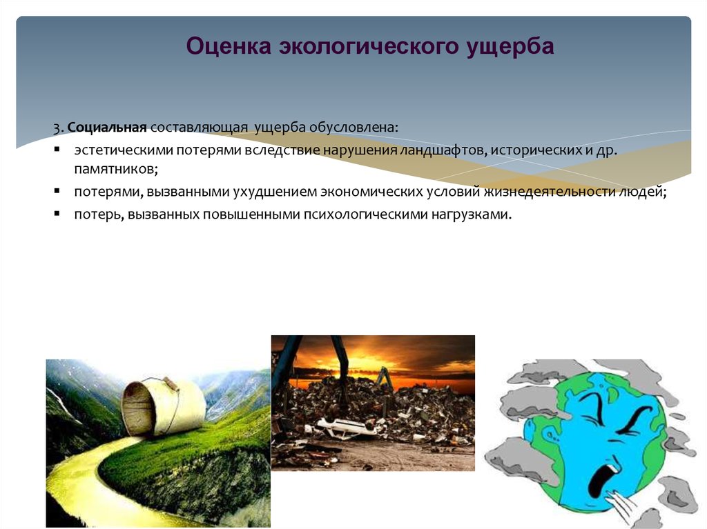 Причинение экологического вреда. Оценка экологического вреда. Экологический ущерб. Классификация экологического ущерба. Определение экологического ущерба.