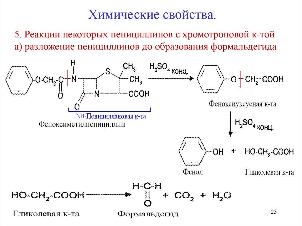 Синтез пенициллина