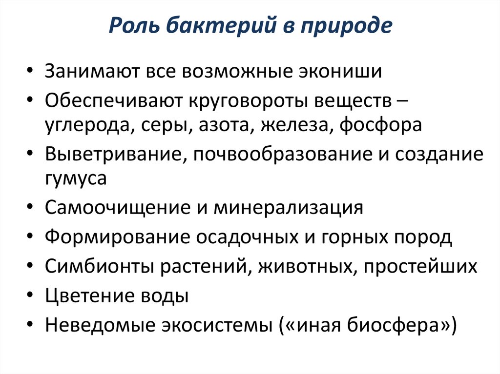 Роль бактерий в природе