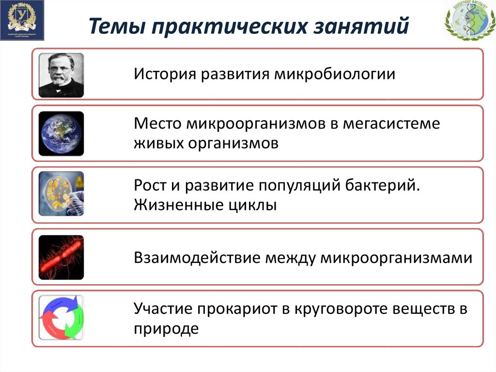 Презентация по теме практического занятия