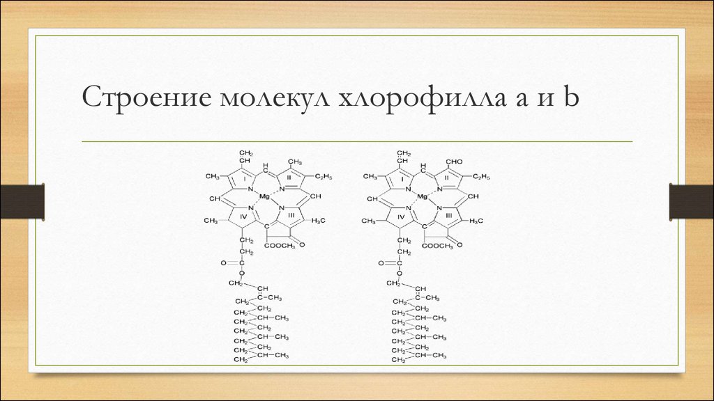 Строение молекул хлорофилла а и b