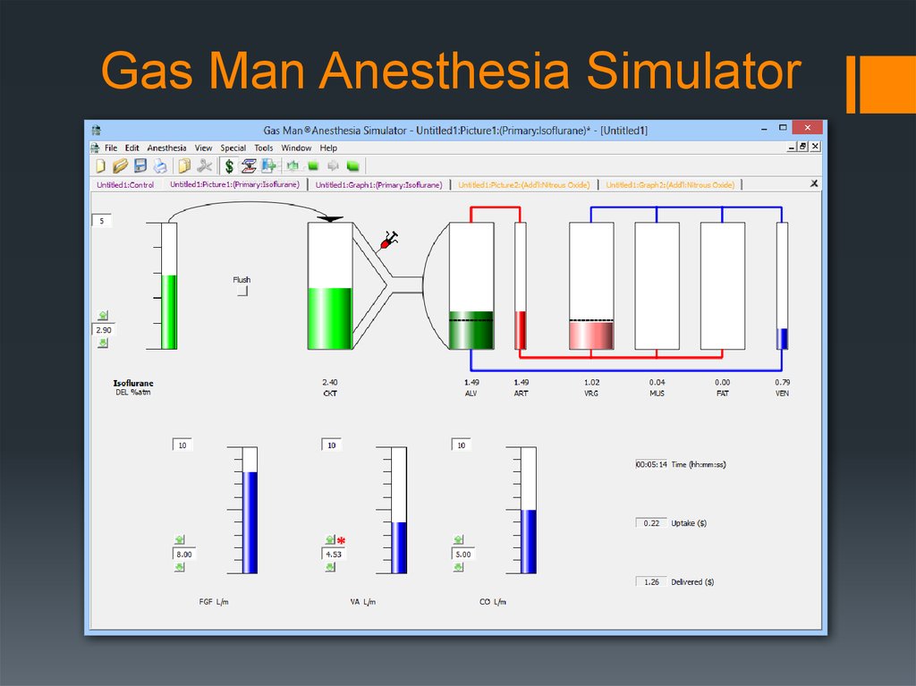 Gas simulator требования