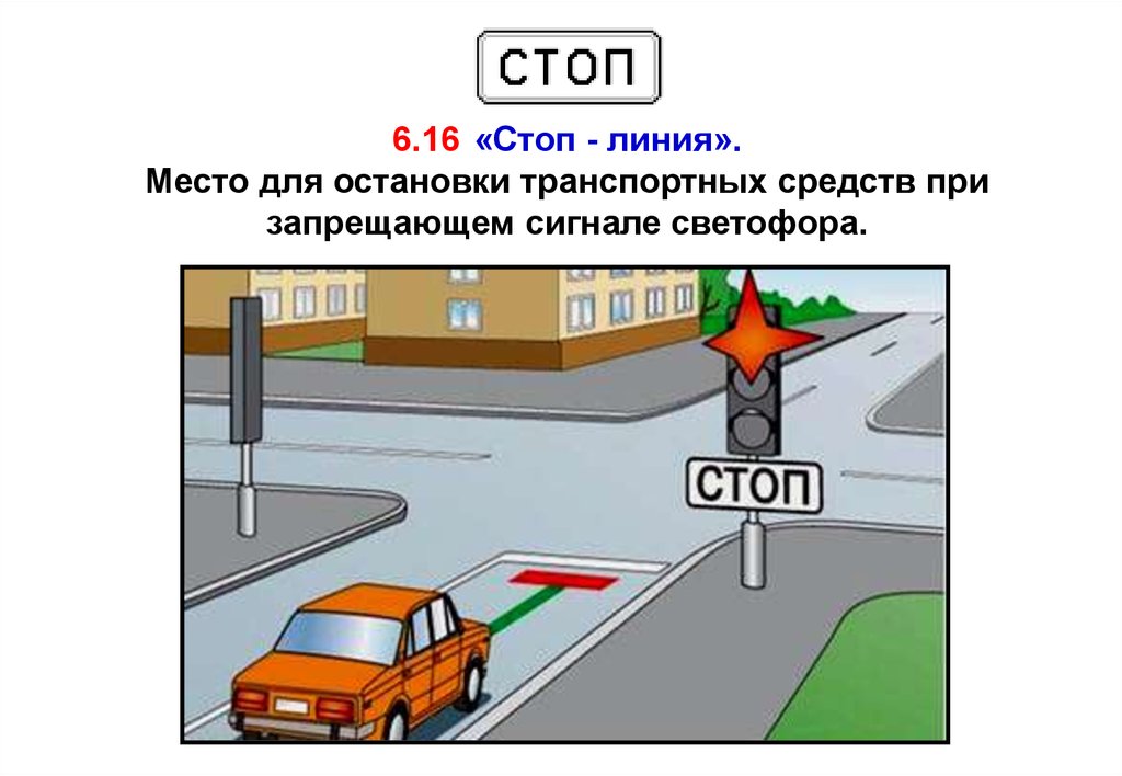 В каком месте вы должны остановиться светофор