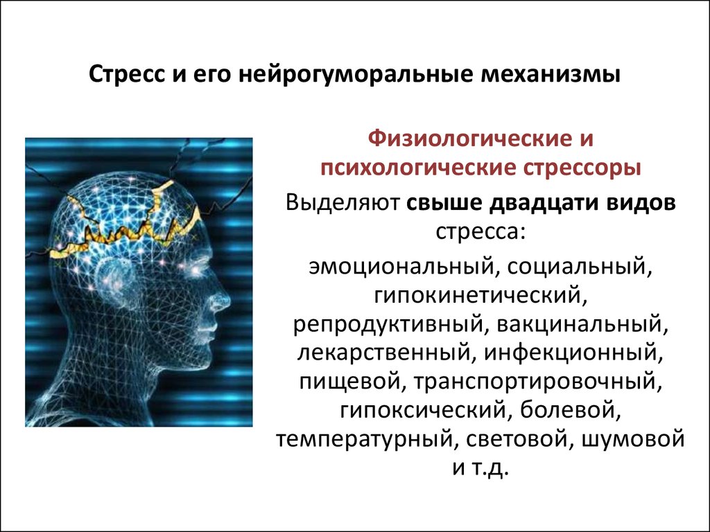 Схема механизмов регуляции информационного стресса