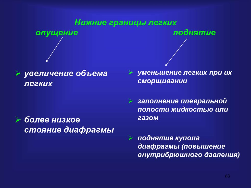 Увеличение границ. Опущение нижних границ легких причины. Нижняя граница легких. Нижняя граница легких опущена:. Причины опущения нижней границы легкого.