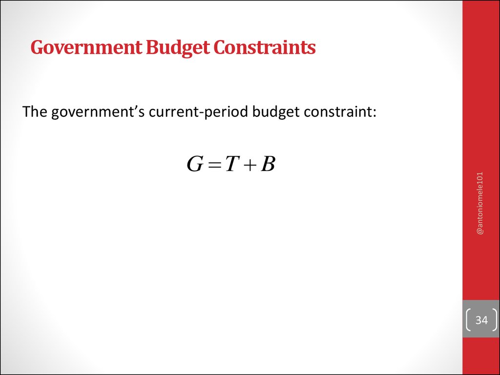 Government Budget Constraints