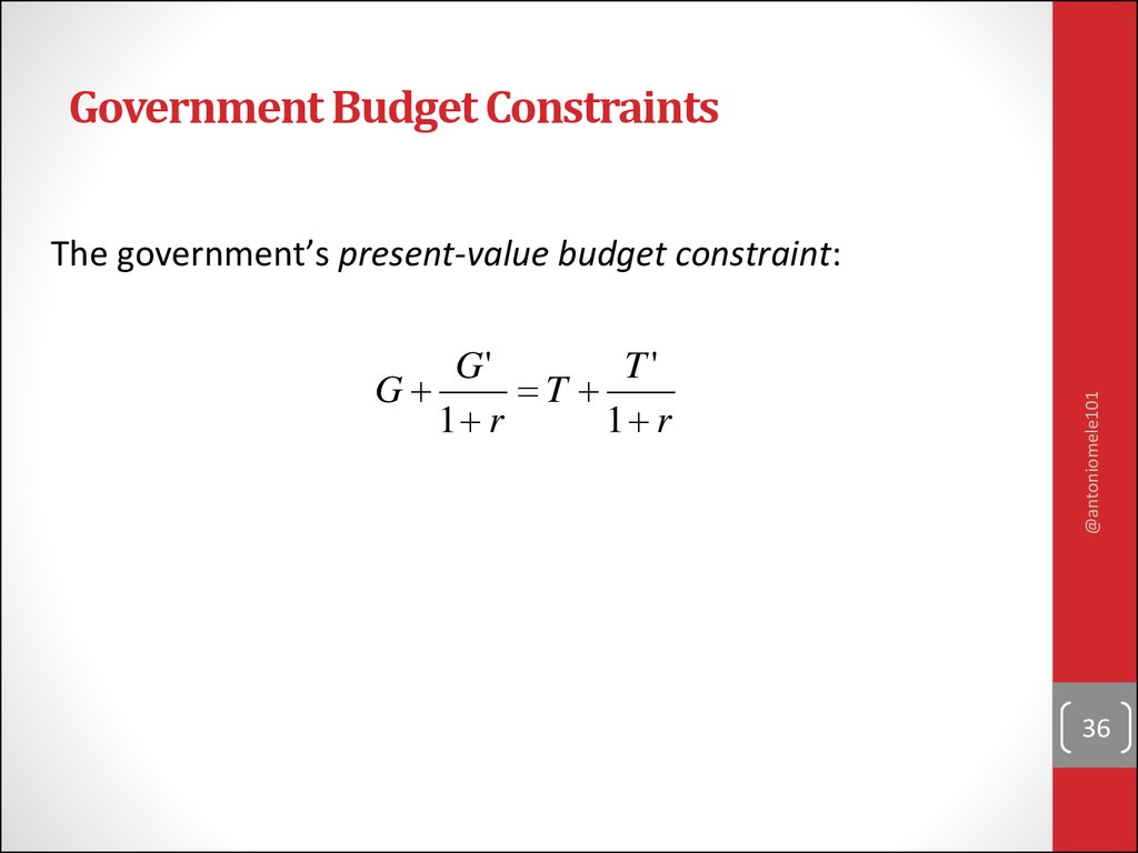 Government Budget Constraints