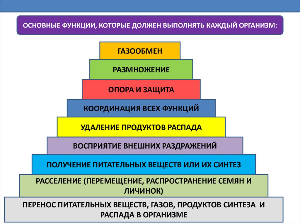 Каждый организм. Функции которые нужно выполнить.