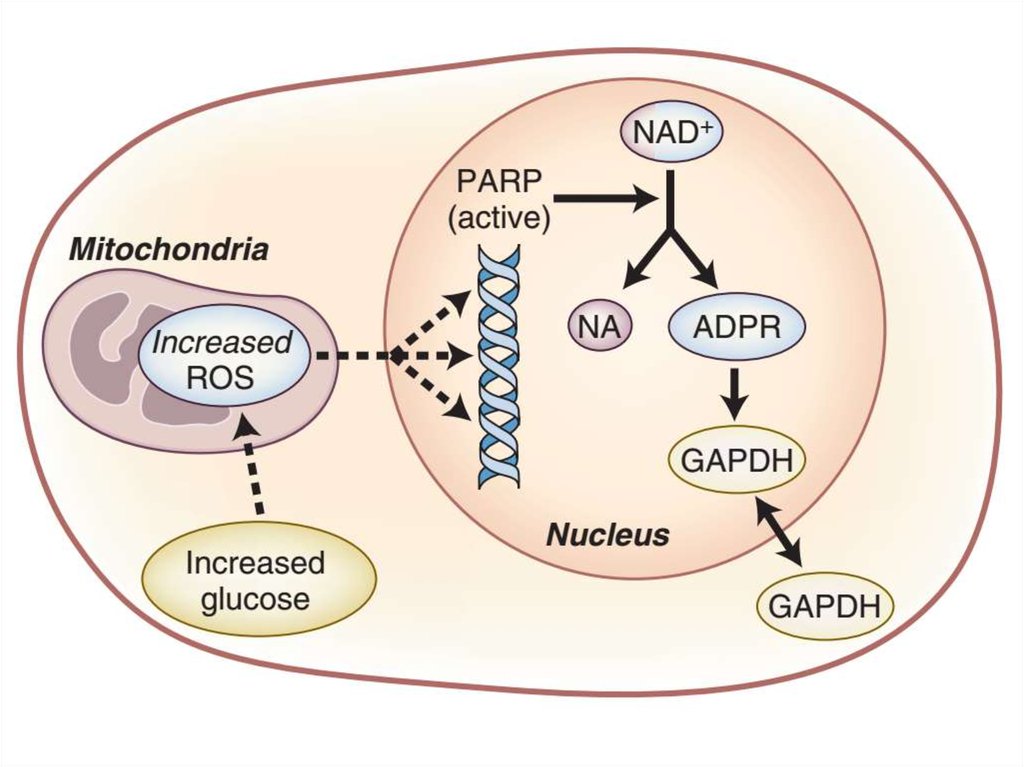 Бег девушки. Спортивные девушки. Мужская походка. Embedded questions. Managing complex change.