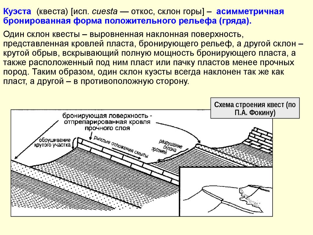 Рельеф выровненный. Куэсты форма рельефа. Куэсты схема. Наклонное залегание. Схема строение Куэсты.