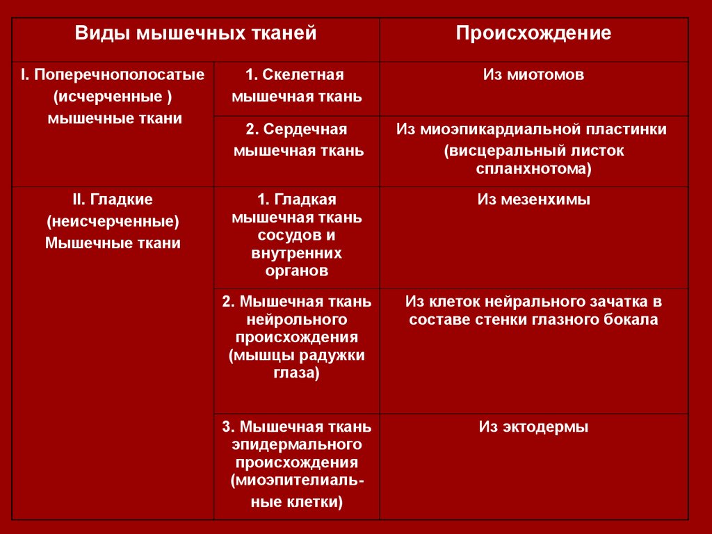 Описать функции мышечной ткани