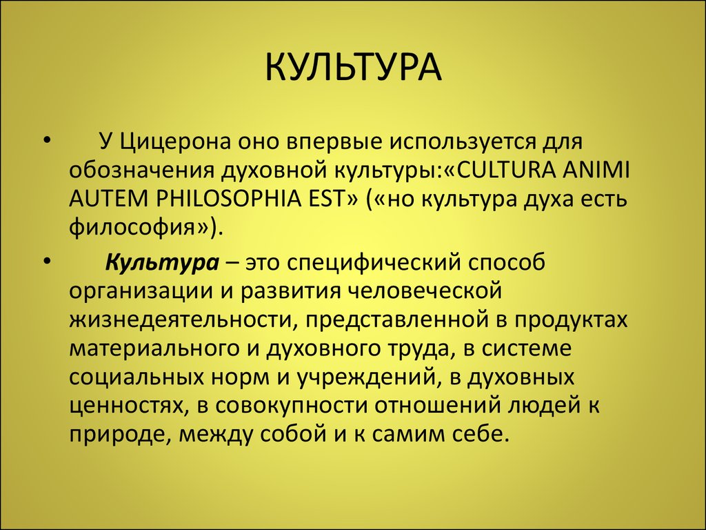 Философская культура. Понятие культуры в философии. Инкультурат в философии. Культура, философия культуры,. Культура в философии это определение.