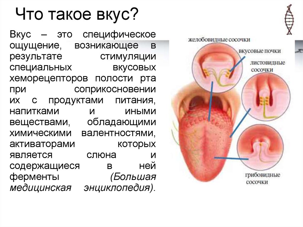 Не чувствую вкуса. Проект на тему богатство вкусовых ощущений. Ощущение вкуса. Понятие вкуса. Богатство вкусовых ощущений для 5 класса по ОБЖ.