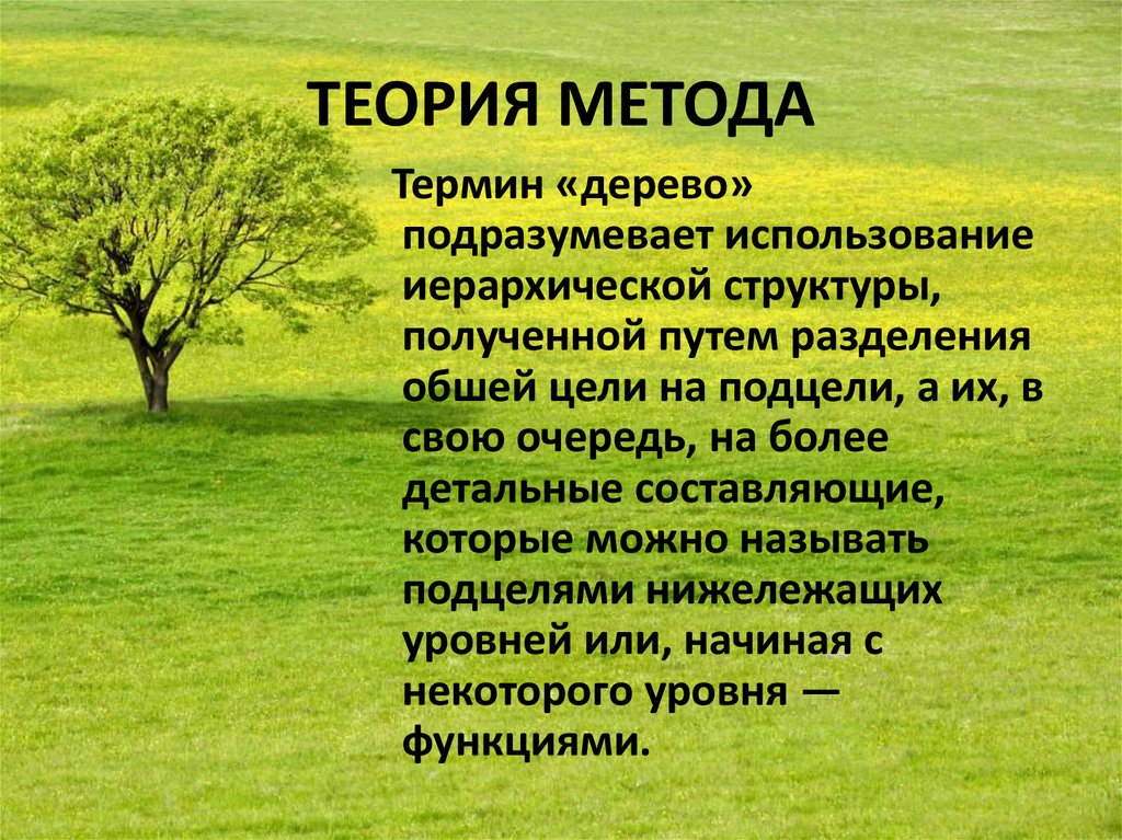 Термины древесины