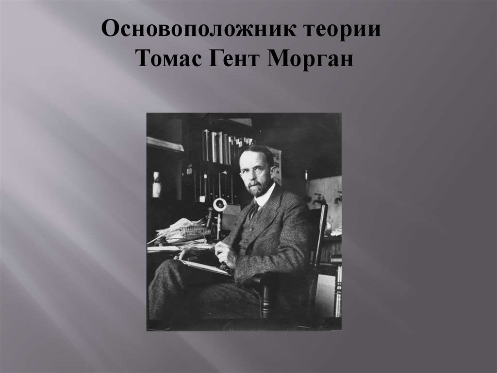 Основоположник учения. Томас Гент Морган. Основоположник хромосомной теории Томас Гент Морган установил что.