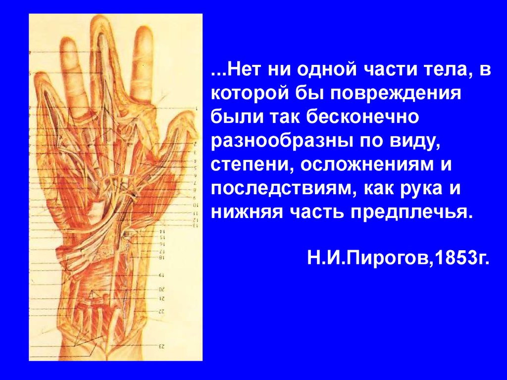 Травма кисти мкб. Повреждение кисти травматология. Рука при ушибе кисти у ребёнка фото.