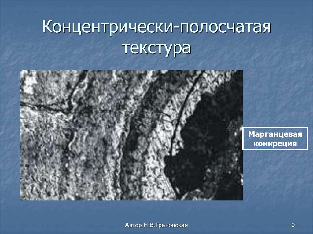 Концентрически-полосчатая текстура