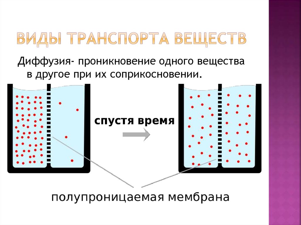 Осмос транспорт веществ. Диффузионное превращение. Проникновение одного вещества в другое. Виды диффузии что проникает. Диффузное проникновение.