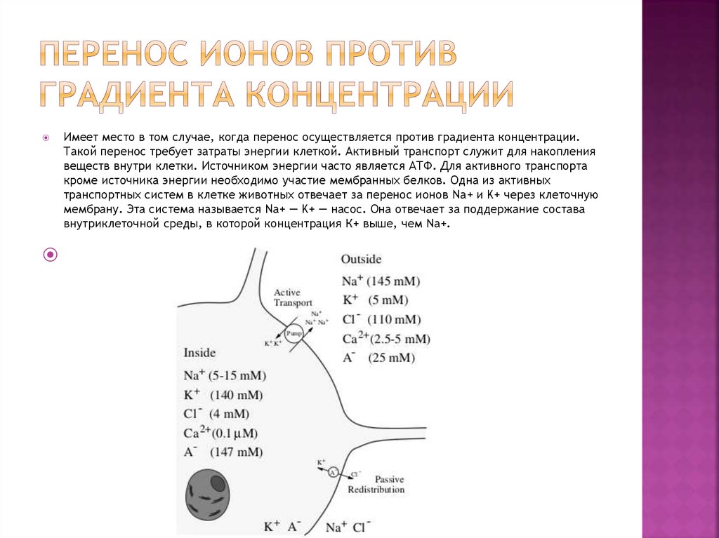 Ионы против градиента концентрации