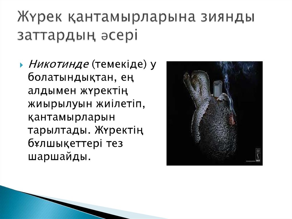 Жүрек қантамырларына зиянды заттардың әсері