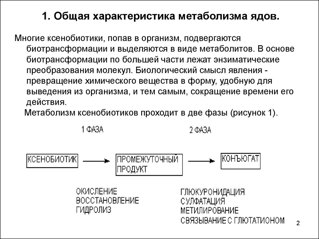 Ферменты детоксикации. Метаболизм ксенобиотиков реакции. Две фазы метаболизма ксенобиотиков. Биотрансформация ядов в организме. Биотрансформация ксенобиотиков в печени.