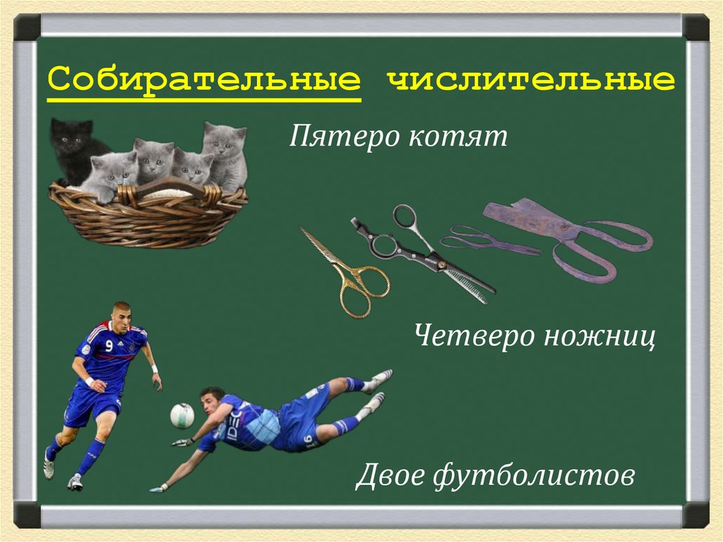 Как правильно четырех или четверых. Четверо ножниц. Четверо ножниц четыре ножницы. Четверо ножниц как правильно. Числительное для ножниц.