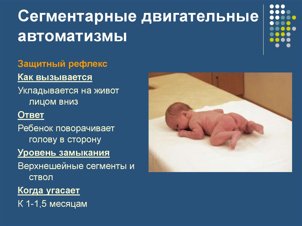 3 врожденных рефлексов. Рефлексы новорожденного Бабинского Моро. Рефлексы новорожденного Бабкина. Защитный рефлекс новорожденного. Врожденные рефлексы новорожденного ребенка.