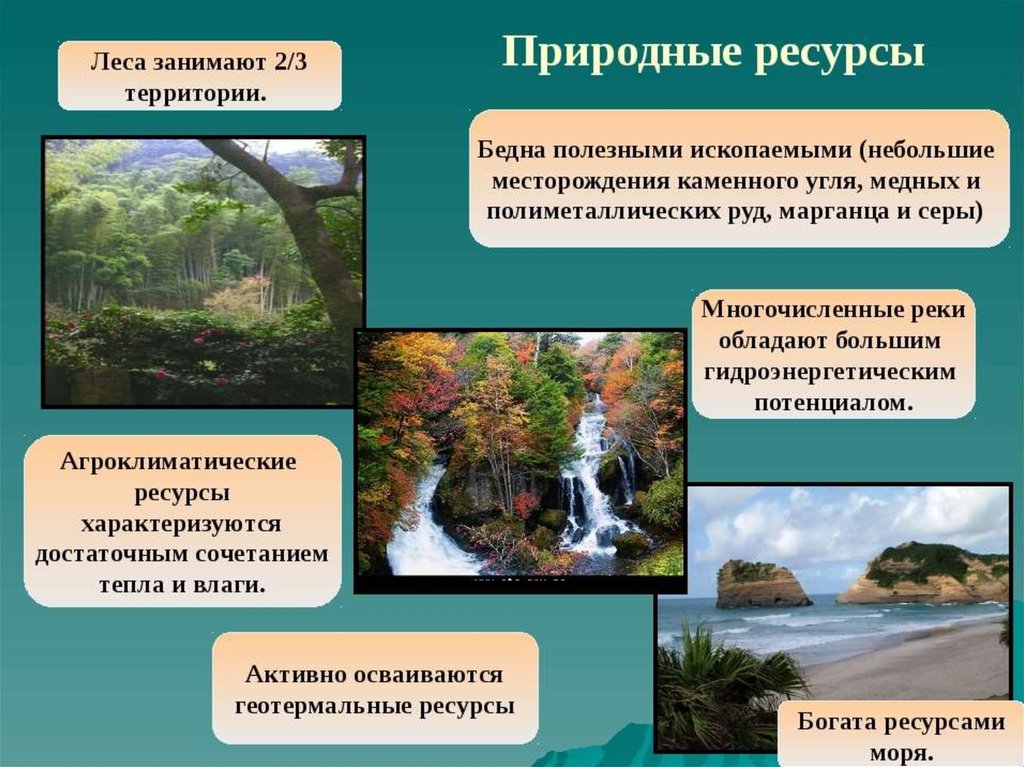 Виды природных ресурсов которыми богата россия. Природные ресурсы. Природные богатства. Разнообразие природных ресурсов. Характеристика природных условий природных ресурсов.