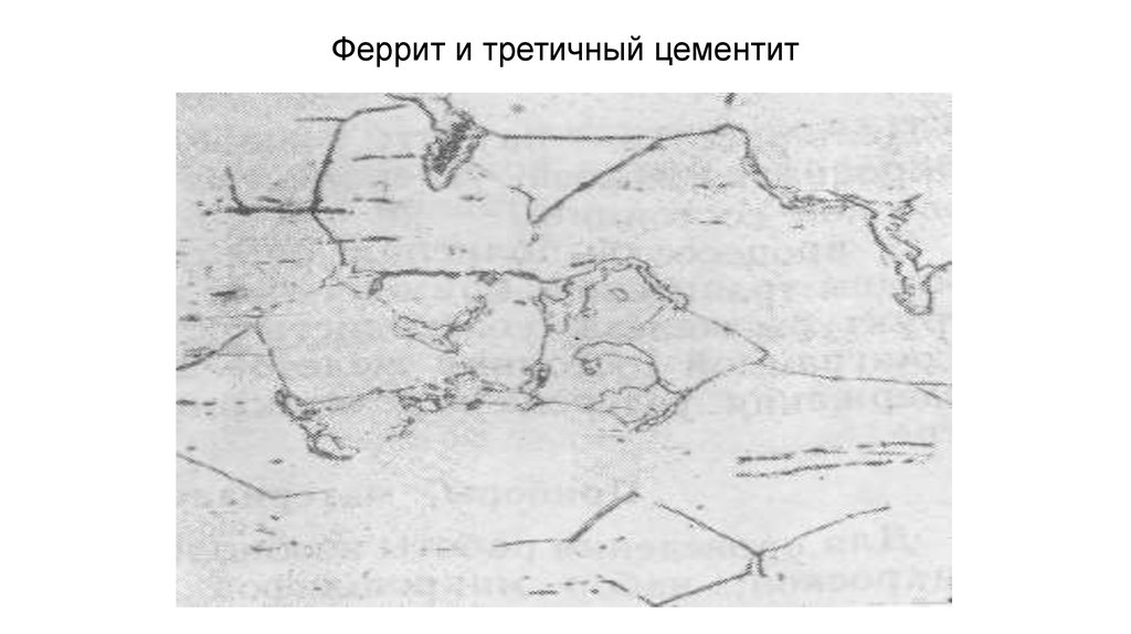 Осколок третичной эпохи джек лондон. Цементит третичный структура. Цементит третичный микроструктура. Феррит и цементит третичный. Техническое железо структура феррит цементит третичный.