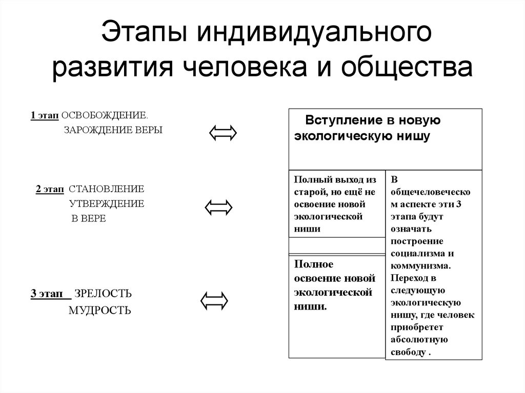 Этапы индивидуального развития