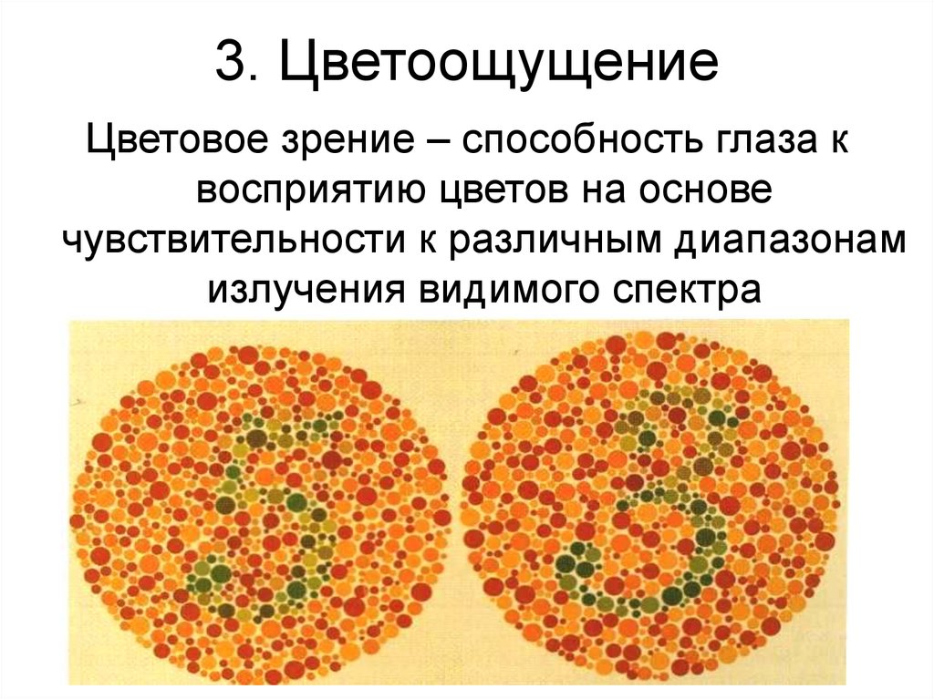 Цветовое зрение. Теории цветоощущения. Исследование цветного зрения. Схема трехкомпонентности цветового зрения.