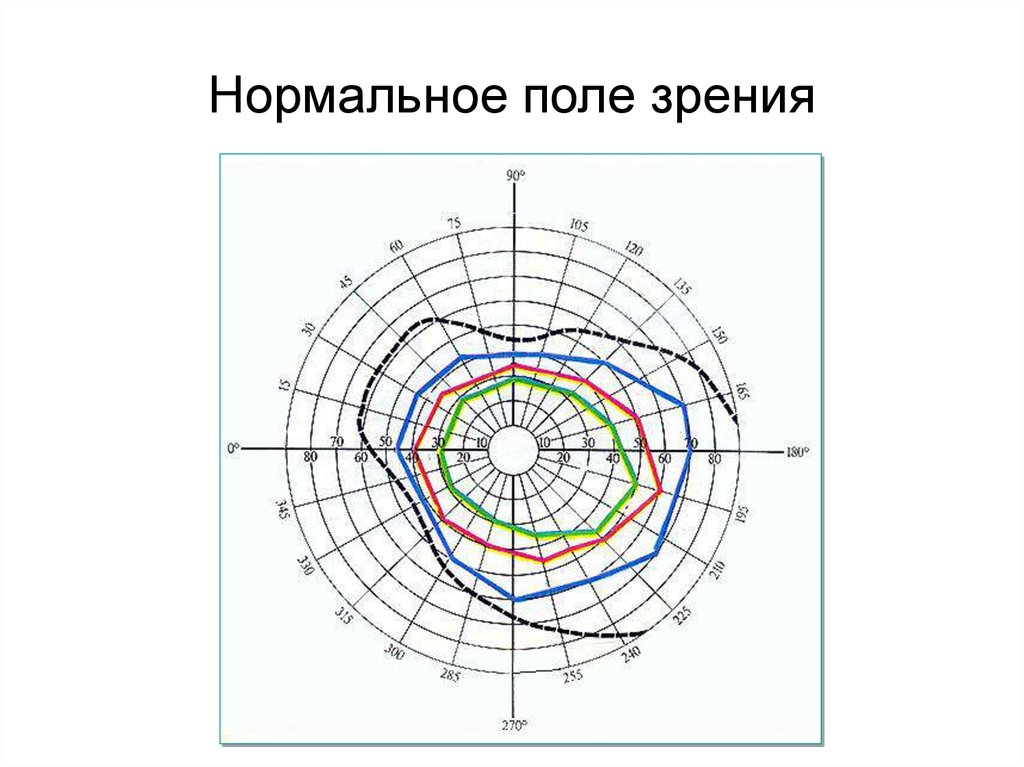 Нормальное зрение рисунок