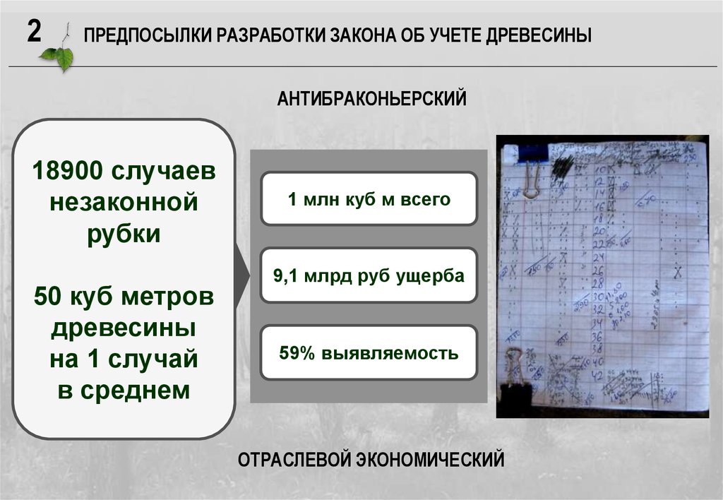 Разработка законов. Учет древесины. Учет пиломатериалов. Учет лесов. Презентация учёт древесины.