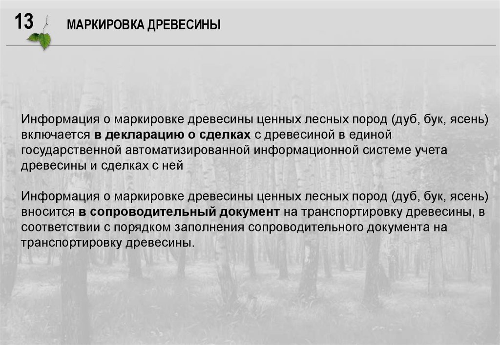 Сделки с древесиной. Декларация о сделках с древесиной. Транспортировка древесины и учет сделок с ней. Закон о сделках с древесиной. Федеральная информационная система для учета сделок с древесиной.