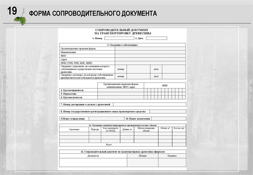 Образец заполнения декларация о сделках с древесиной образец