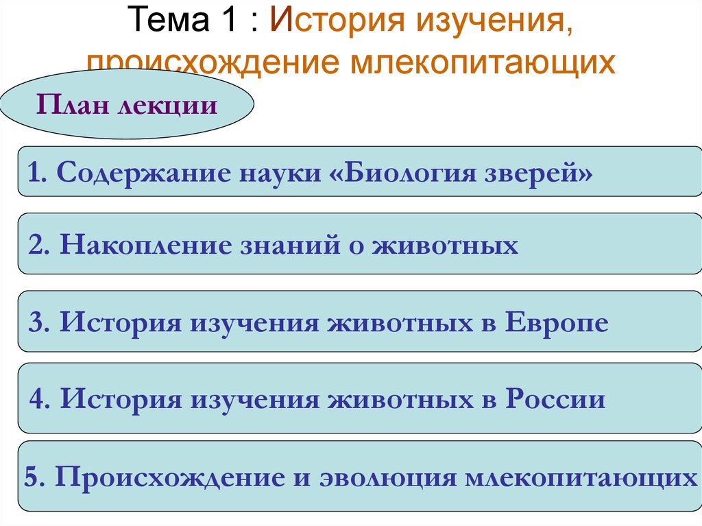 Какая наука изучает происхождение. Методы изучения происхождения животных. История появления млекопитающих. План происхождения млекопитающих. Суждения о происхождении млекопитающих.