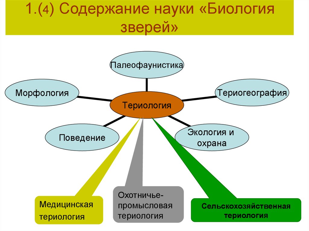 Презентация 7 класс биология животные и окружающая среда